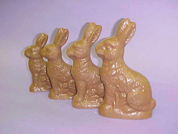 PROFILE BUNNIES