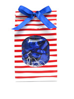 STRIPED BAG WITH FOIL