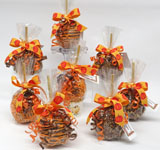 CHOCOLATE & CARAMEL APPLE DECORATED