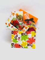 FALL GIFT BOX