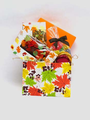 FALL GIFT BOX