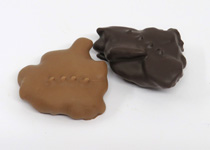 CHOCOLATE COVERED PECAN CLUSTERS $21.95lb