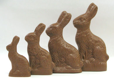 PROFILE BUNNIES